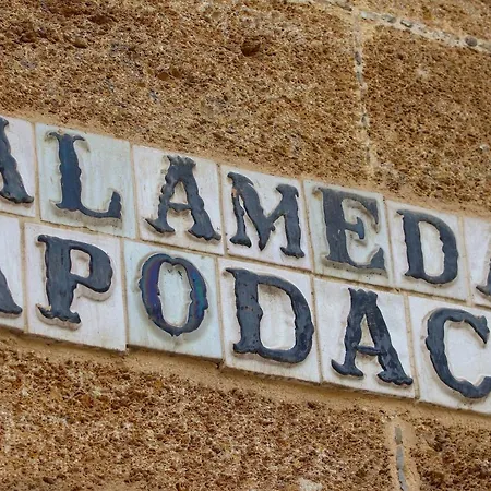 Con Patio En Centro *